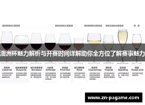 澳洲杯魅力解析与开赛时间详解助你全方位了解赛事魅力