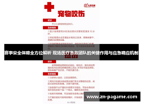 赛事安全保障全方位解析 现场医疗急救团队的关键作用与应急响应机制