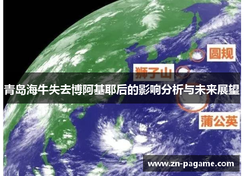 青岛海牛失去博阿基耶后的影响分析与未来展望 青岛海牛失去博阿基耶后的影响分析与未来展望