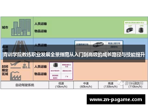 青训学院教练职业发展全景指南从入门到高级的成长路径与技能提升