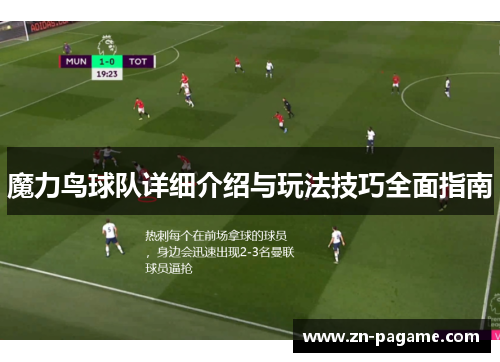 魔力鸟球队详细介绍与玩法技巧全面指南