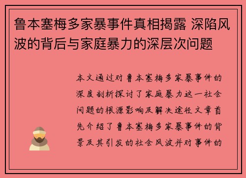 鲁本塞梅多家暴事件真相揭露 深陷风波的背后与家庭暴力的深层次问题
